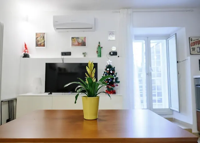 Zizi House