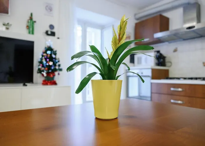 Zizi House Apartament Rzym