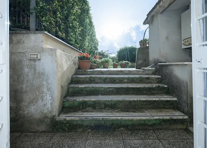 Zizi House Apartament